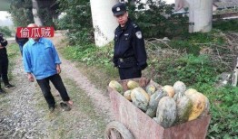 和县网红吃瓜事件真相视频