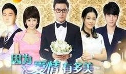 因为爱情有多美电视剧全集在线观看,重温经典爱情故事，感受真挚情感共鸣
