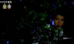 复仇游戏泰剧电视剧全集在线观看,泰剧电视剧全集在线观看剧情回顾与精彩片段抢先看